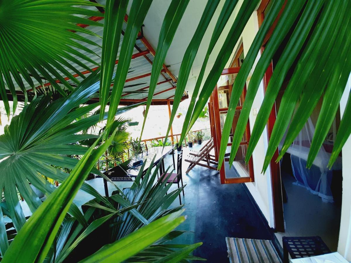 Serenity Homestay Ella Ngoại thất bức ảnh