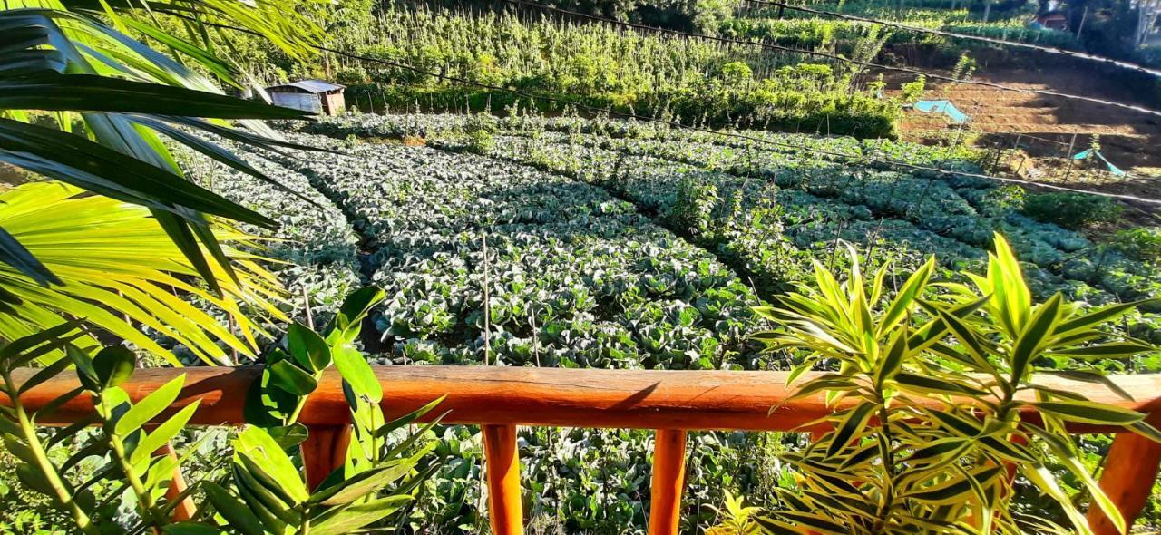 Serenity Homestay Ella Ngoại thất bức ảnh