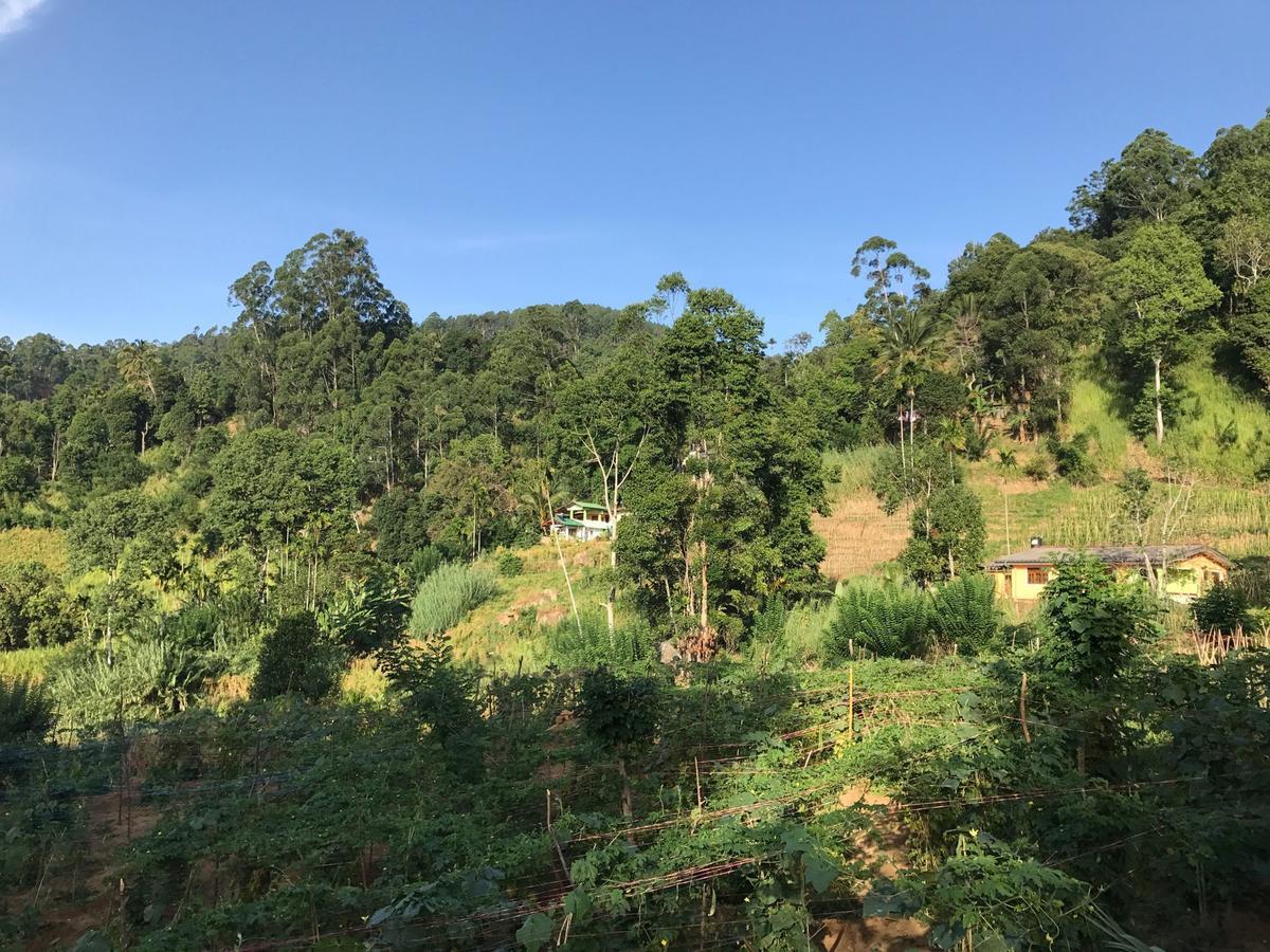 Serenity Homestay Ella Ngoại thất bức ảnh